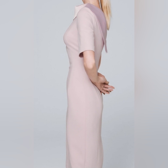 WHBM Sheath dress with Satin Vback in Cottage Rose Size 6 - Picture 8 of 8